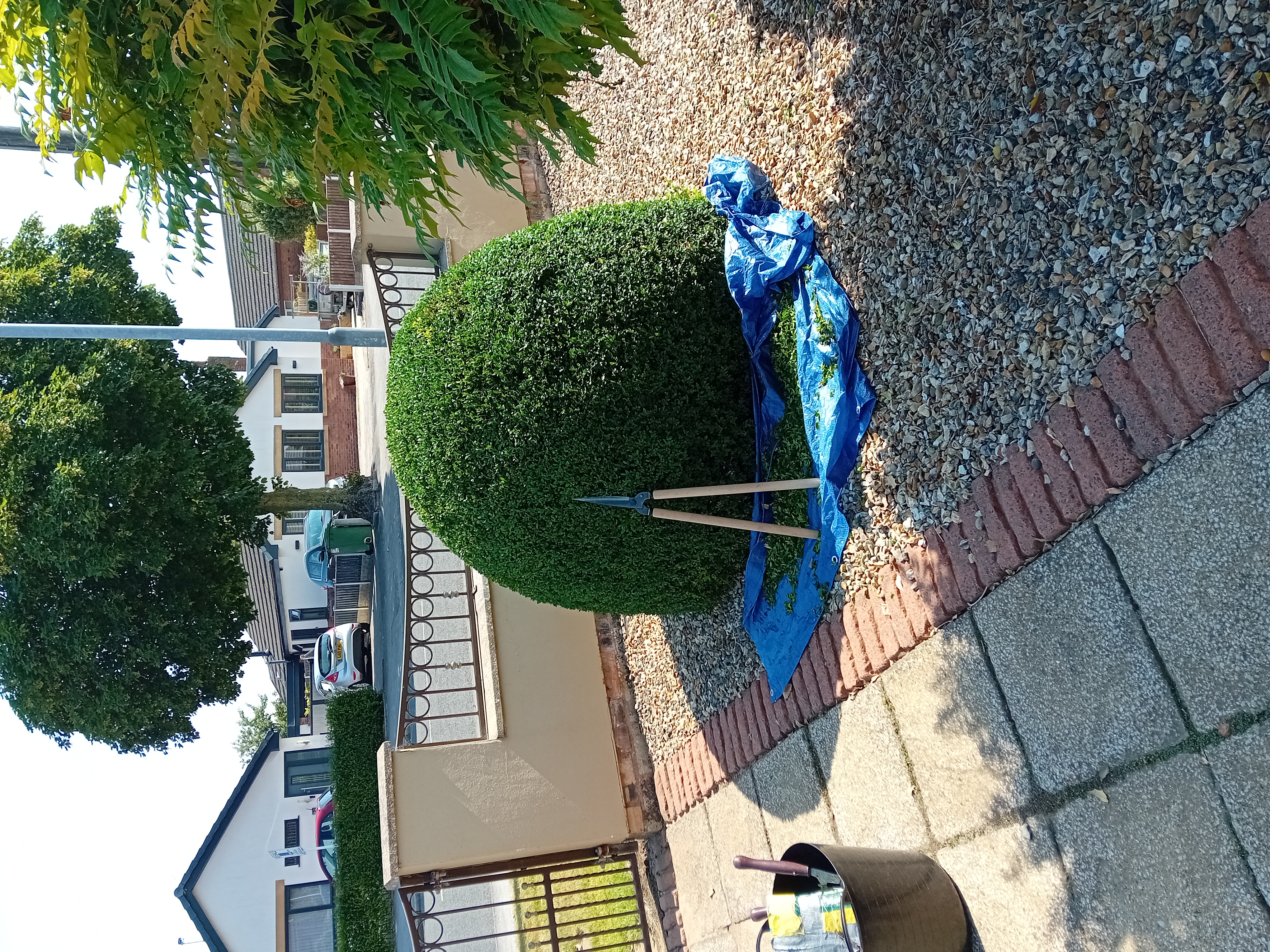 Freshly cut lawns