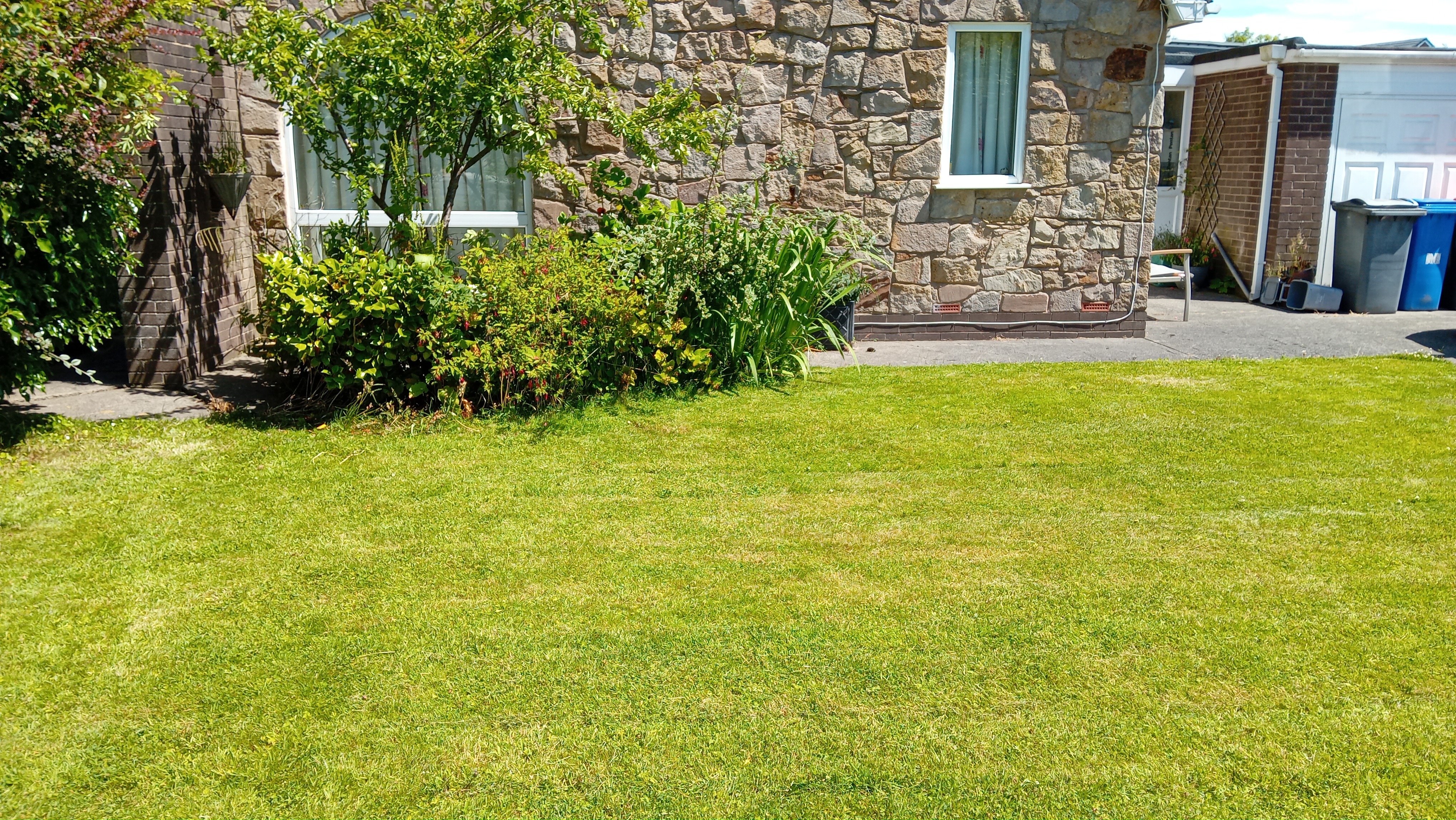 Freshly cut lawns
